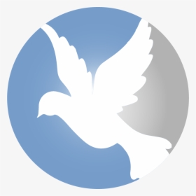 Peace Pigeon Png, Transparent Png, Transparent PNG