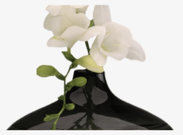 Png Hd Vase Of Flowers Transparent Hd Vase Of Flowerspng - Black Vase With Flowers, Png Download, Transparent PNG