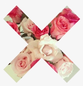 Flowers, Rose, And X Image - Transparent Tumblr X, HD Png Download, Transparent PNG