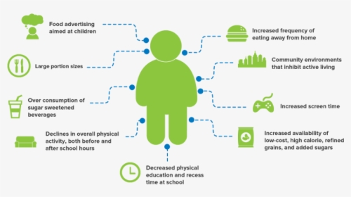 Childhood Obesity Factors, HD Png Download, Transparent PNG