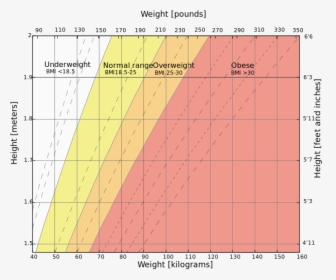 Weight Height Chart, HD Png Download, Transparent PNG