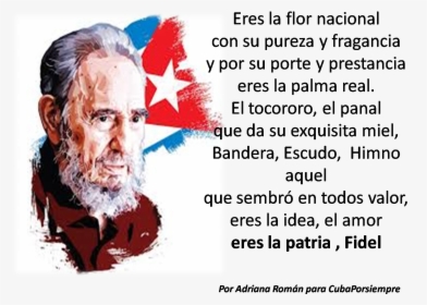 Por Adriana Román* - Fidel Castro Wallpaper Hd, HD Png Download, Transparent PNG