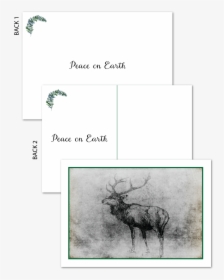 Majestic Stag Holiday Postcard  								data-caption - Elk, HD Png Download, Transparent PNG