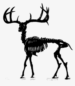 Stag Png , Png Download - Illustration, Transparent Png, Transparent PNG