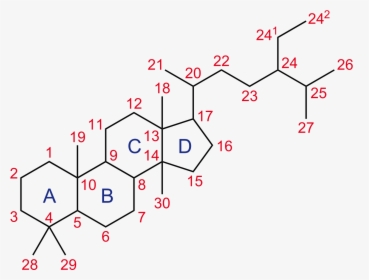 Anabolic Steroid Structure, HD Png Download, Transparent PNG