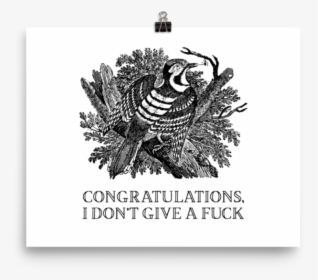 Congratulations, I Don T Give A Fuck Poster   Srcset - Thomas Bewick, HD Png Download, Transparent PNG