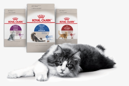 Nielsen Through Scantrack Service For The Cat Food - Royal Canin, HD Png Download, Transparent PNG