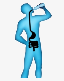 Drinking Cartoon Illustration - Human Body Drinking Water Png, Transparent Png, Transparent PNG