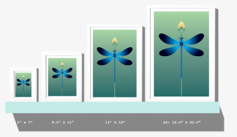 Rkr Sizes Dragonfly - Graphic Design, HD Png Download, Transparent PNG