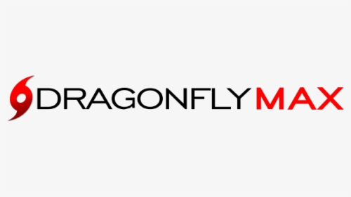 Dragon Fly Png, Transparent Png, Transparent PNG