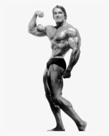 Arnold Schwarzenegger Bodybuilding Transparent - Arnold Schwarzenegger Bodybuilding Png, Png Download, Transparent PNG