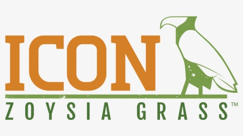 Icon Zoysia Grass - Graphic Design, HD Png Download, Transparent PNG