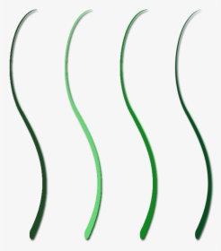 Swirl Png Without Background - Line Art, Transparent Png, Transparent PNG
