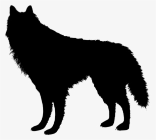 Transparent Background Wolf Clipart, HD Png Download, Transparent PNG