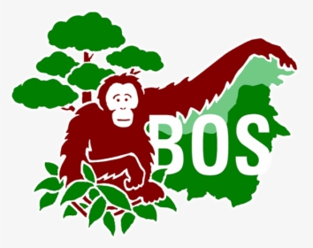 Borneo Orangutan Survival Foundation, HD Png Download, Transparent PNG