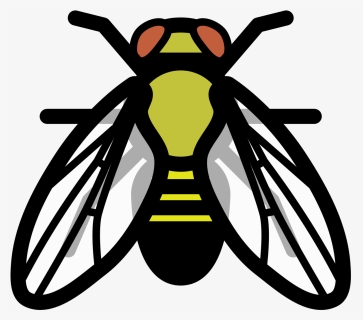 Drosophila Melanogaster Clip Art, HD Png Download, Transparent PNG