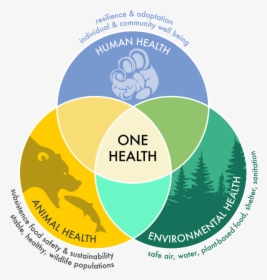 One Health Ven Diagram Illustrating The Interdependence - Human Animal Environment One Health, HD Png Download, Transparent PNG