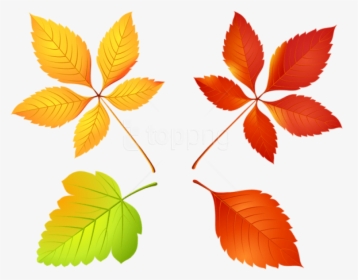 Free Png Download Autumn Leaves Set Clipart Png Photo - Autumn, Transparent Png, Transparent PNG