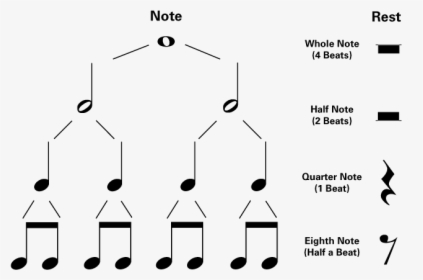 Piano Notes Time Values, HD Png Download, Transparent PNG