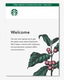 Starbuck S Welcome Email - Starbucks Welcome Email, HD Png Download, Transparent PNG