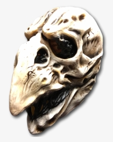 Day Of The Dead Bird Mask, HD Png Download, Transparent PNG