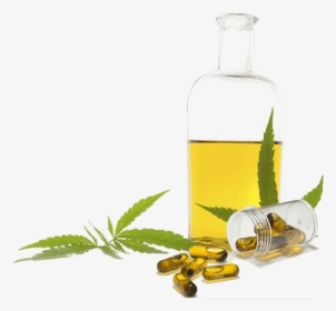 Oil Cannabis Png, Transparent Png, Transparent PNG