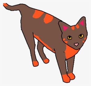Domestic Short-haired Cat, HD Png Download, Transparent PNG