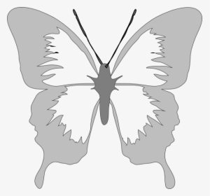 Butterfly In Silver Svg Clip Arts - Butterfly Clip Art, HD Png Download, Transparent PNG