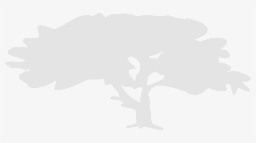 A Light Gray Illustration Of A Large Tree With A Transparent - Tree, HD Png Download, Transparent PNG