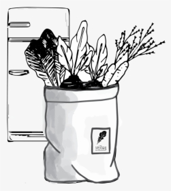 Store And Enjoy - Flowerpot, HD Png Download, Transparent PNG