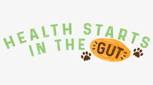 Health Starts In The Gut - Illustration, HD Png Download, Transparent PNG