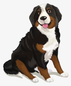 Bernese Mountain Dog, HD Png Download, Transparent PNG