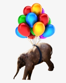 #babyelephant #nobackground #elephant #balloons #png - Hd Birthday Images Balloons, Transparent Png, Transparent PNG