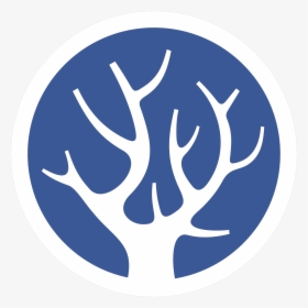 Drop Tree Logos, HD Png Download, Transparent PNG