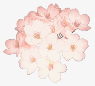 Anime Flowers Flower Aesthetic Tumblr Kpop Transparent - Flower Drawing, HD Png Download, Transparent PNG