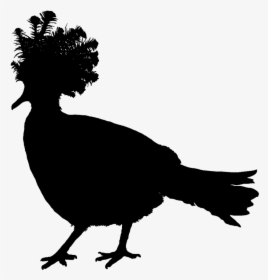 Victoria Crowned Pigeon Silhouette, HD Png Download, Transparent PNG