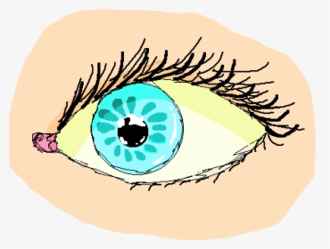 Transparent Realistic Eye Png - Circle, Png Download, Transparent PNG