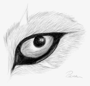 Raven Eye Drawing, HD Png Download, Transparent PNG