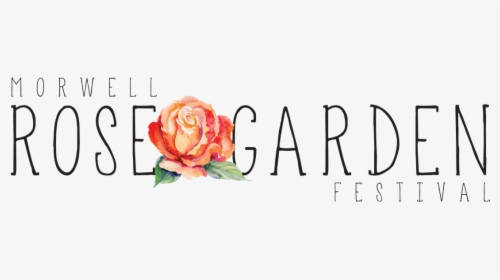 Garden Roses Clipart , Png Download - Hybrid Tea Rose, Transparent Png, Transparent PNG