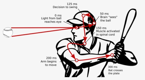 Reaction Time Png - Reaction Time For Baseball Hitters, Transparent Png, Transparent PNG