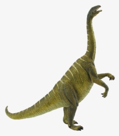 Plateosaurus Dinosaur, HD Png Download, Transparent PNG