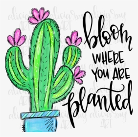 Bloom Where You Re Planted - Bloom Where Youre Planted Cactus, HD Png Download, Transparent PNG