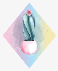 Cactus, HD Png Download, Transparent PNG