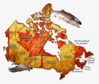 Map Of Canada - Fishing Resources In Canada, HD Png Download, Transparent PNG