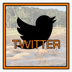 Twitter Icon Copy - Silhouette, HD Png Download, Transparent PNG