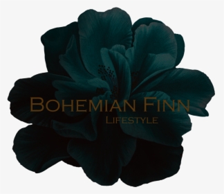 Bohemian Finn Lifestyle, HD Png Download, Transparent PNG