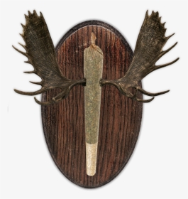 Cresco-small, HD Png Download, Transparent PNG