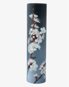 Cherry Blossom, HD Png Download, Transparent PNG