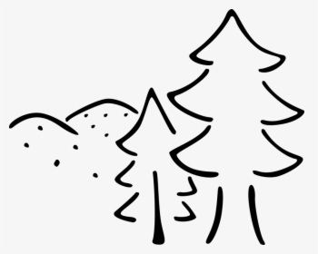 Vector Illustration Of Evergreen Coniferous Pine Trees - People Magazine, HD Png Download, Transparent PNG