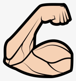 Flexing Biceps - Strong Arms Svg, HD Png Download, Transparent PNG